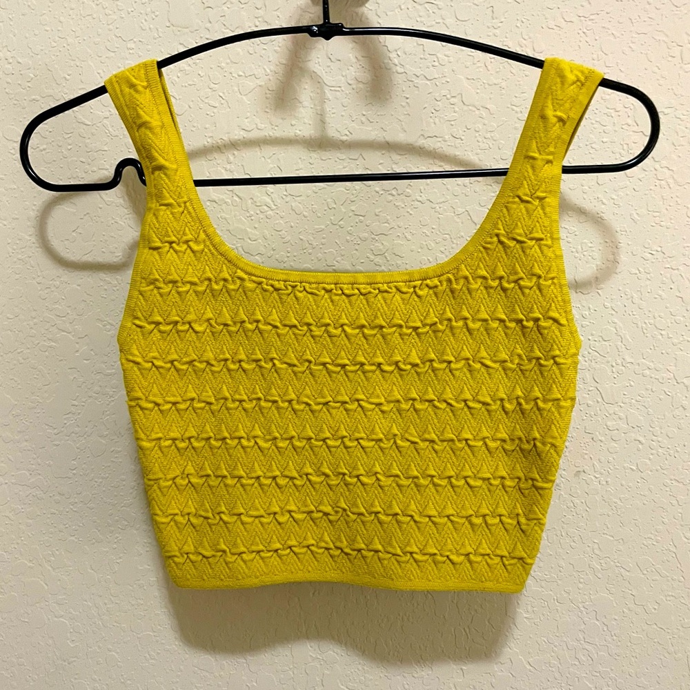 Aritzia Babaton Textured Crop Tank Bra Top